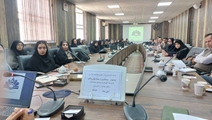 برگزاری کارگاه آموزشی ضمن خدمت ویژه رابطین بهداشت مدارس در مرودشت