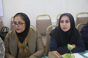 نشست دو روزه مسوولین جوانی جمعیت و خانواده شبکه های بهداشت و درمان تحت پوشش دانشگاه علوم پزشکی شیراز / به روایت تصویر