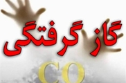 مسمومیت ۴ نفر بر اثر  گاز مونوکسید کربن در شهرستان مرودشت