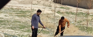  کاشت نهال در مرکز خدمات جامع سلامت حاجی‌آباد با مشارکت پزشک و کارکنان