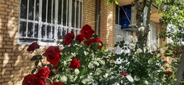 بهسازی خانه بهداشت ابراهیم‌آباد از توابع بخش رامجرد، با همت گروه جهادی شهدای رامجرد